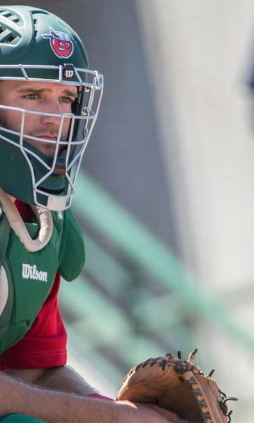 MadFriars' Preview: 2015 Lake Elsinore Storm